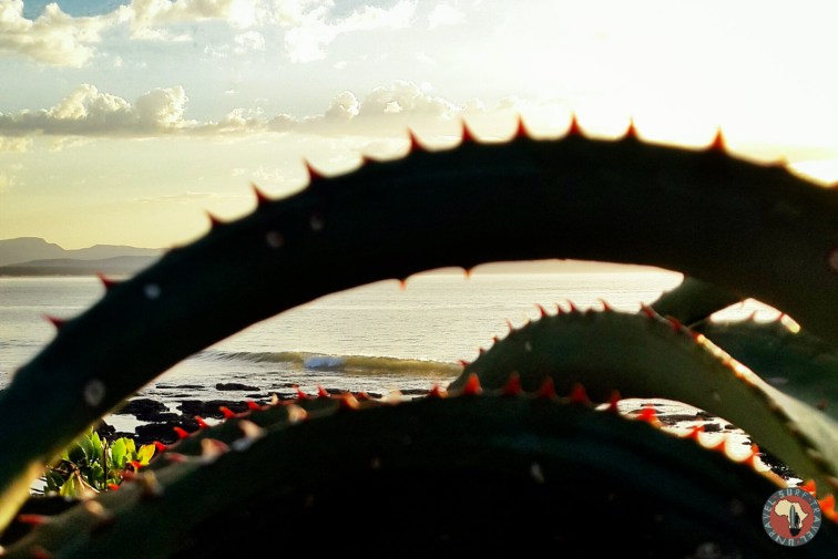 Jenya Zhivaleva Photography. Your Foto Story